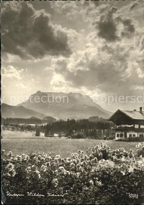Foto Popp Nr. 3396 Wilder Kaiser