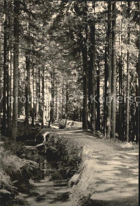 Altenberg Erzgebirge Bergstadt Am Aschergraben