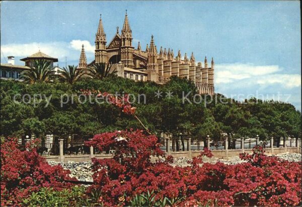 Palma de Mallorca Catedral