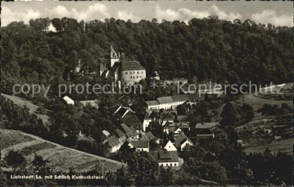 Liebstadt Ortsansicht mit Schloss Kuckuckstein