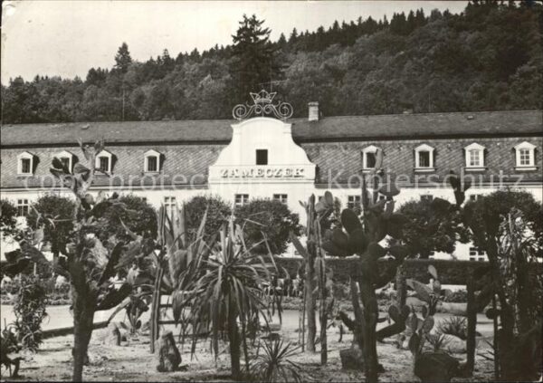 Kudowa-Zdroj Sanatorium Zameczek