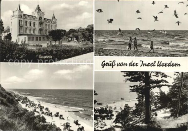 Zinnowitz Ostseebad Fereinheim Strand Möwen Koserow Ückerit