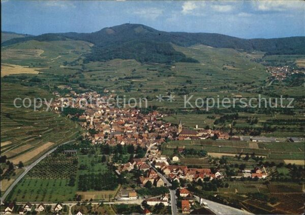 Oberrotweil am Kaiserstuhl Luftbild