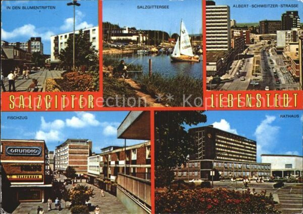 Salzgitter Rathaus Salzgittersee Fischzug Albert-S