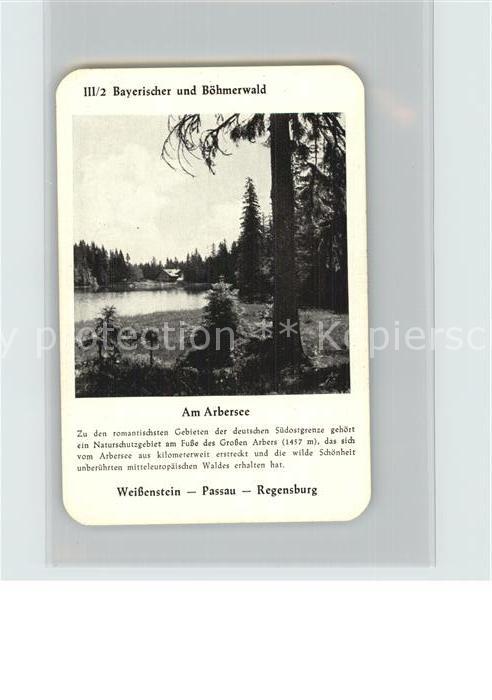 Arbersee Bayerischer Böhmerwald Weißenstein-Pass