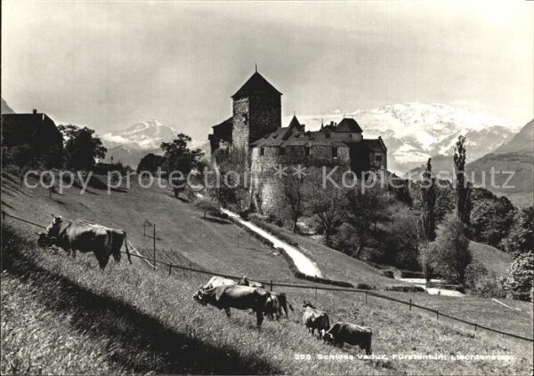 Vaduz Schloss Viehweide Kühe Alpenpanorama