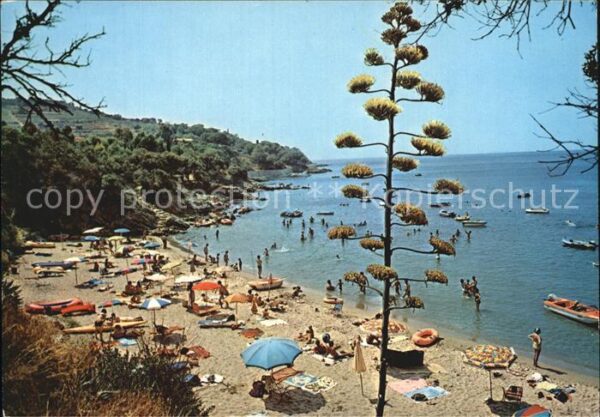 Capoliveri Strand