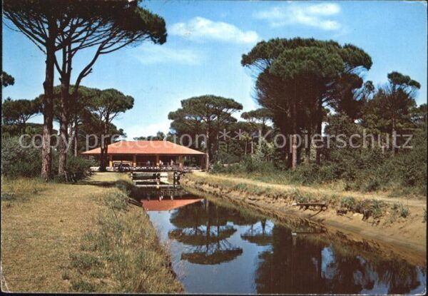 Cervia Parco naturale Canalino