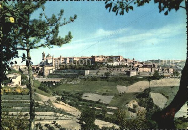 Urbino Panorama