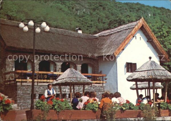 Badacsony Kisfoludy Haz Restaurant
