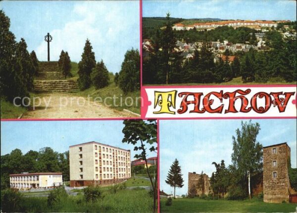 Tachova
