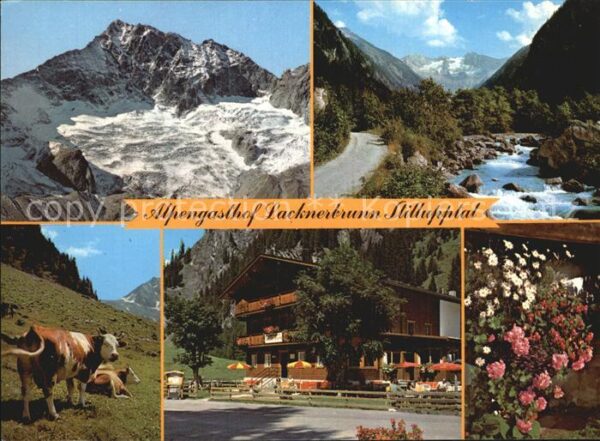 Mayrhofen Zillertal Alpengasthof Lacknerbrunn im Stilluppta