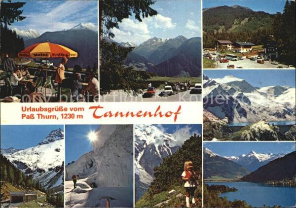 Mittersill Oberpinzgau Tannenhof Felbertal Hollersbachtal Rest
