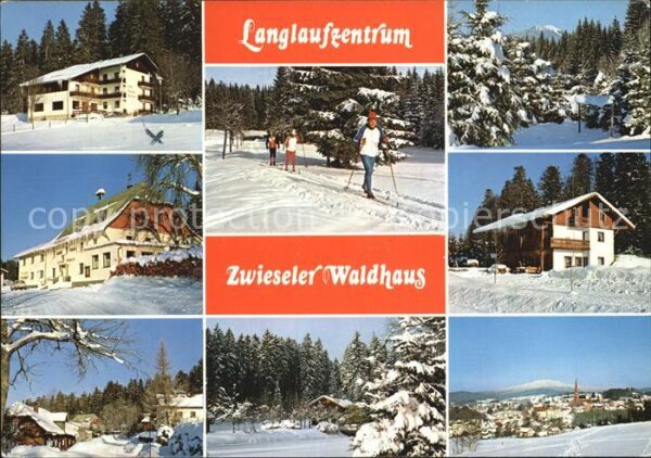 Zwiesel Niederbayern Zwieseler Waldhaus Panorama Teilansicht