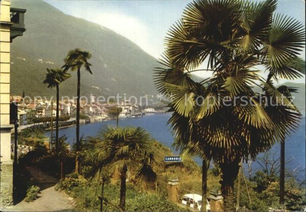 Cannobio Lago Maggiore Blick auf den See