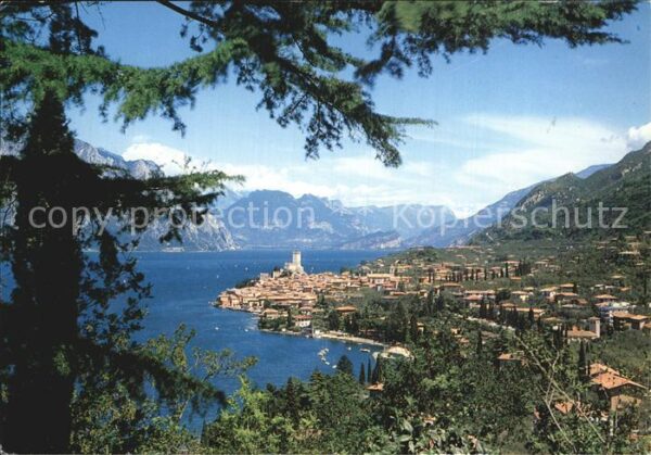 Malcesine Lago di Garda Gesamtansicht