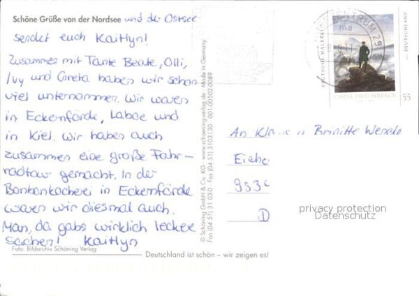 Robben Seehunde Nordsee – Bild 2