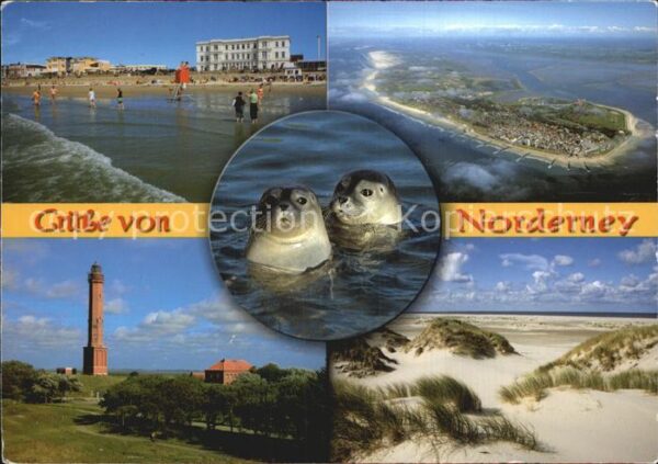 Norderney Nordseebad Strand Dünen Leuchtturm Robben
