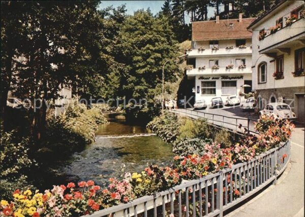 Bad Berneck Fichtelgebirge Partie an der Ölschnitz