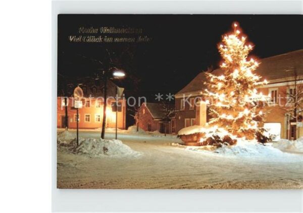 Rehau Oberfranken Marktplatz Christbaum Nachtaufnahme Wei