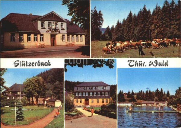 Stuetzerbach Gasthaus Auerhahn Kuhherde Kurpark Goet