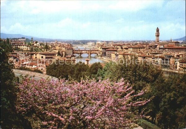 Firenze Florenz Panorama Stadtansicht