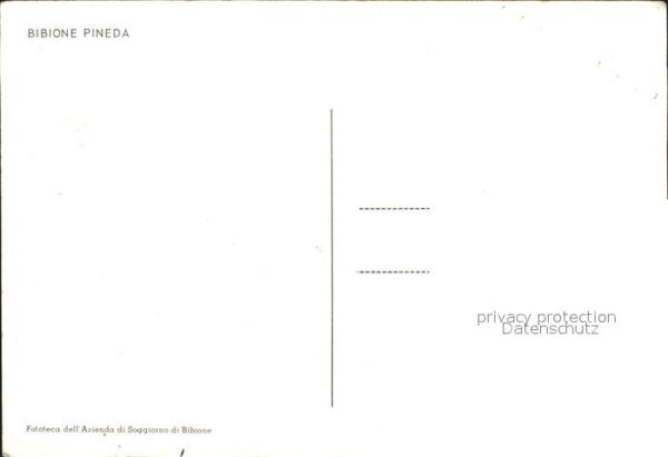 Bibione Pineda Luftbild – Bild 2