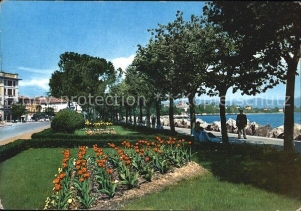 Desenzano Lago di Garda Seepromenade Blüte