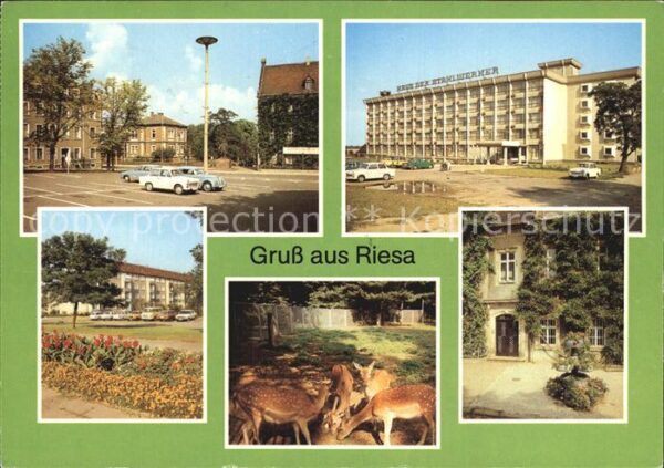 Riesa Sachsen Leninplatz Tierpark Rathaus Greifswalde