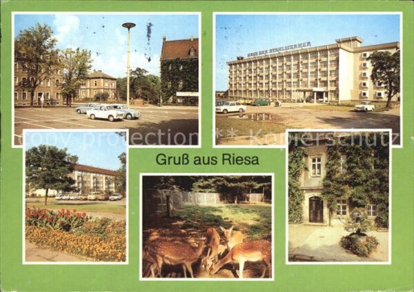 Riesa Sachsen Leninplatz Haus der Stahlwerker Tierpar