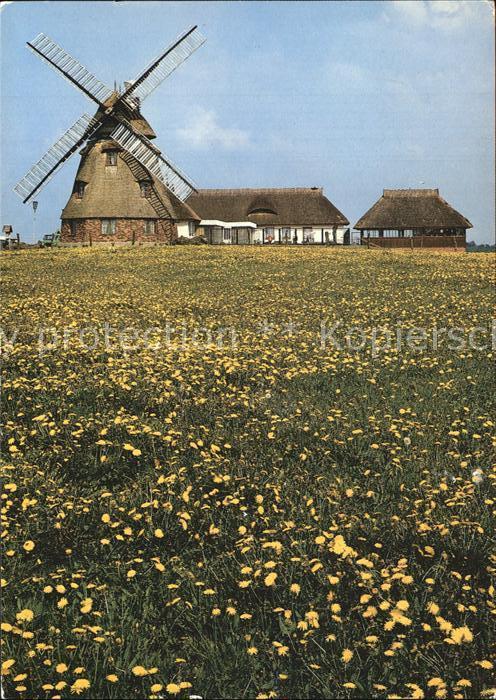 Dorf Mecklenburg Erdholländermühle Gaststätte