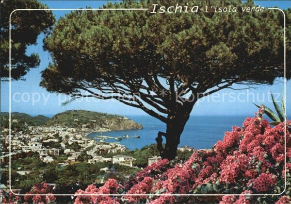 Lacco Ameno Panorama