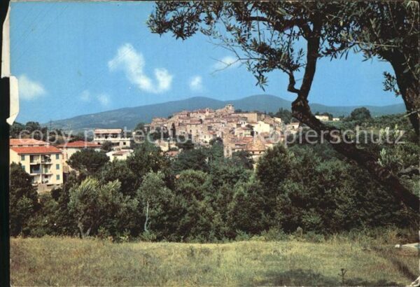Bibbona Livorno Panorama