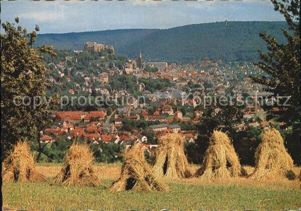 Marburg Lahn Gesamtansicht mit dem Schloss
