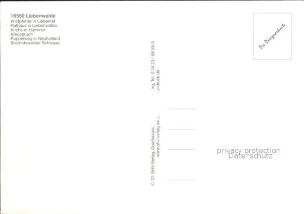 Liebenwalde Wildpferde Rathaus Bischofswerder Schle – Bild 2
