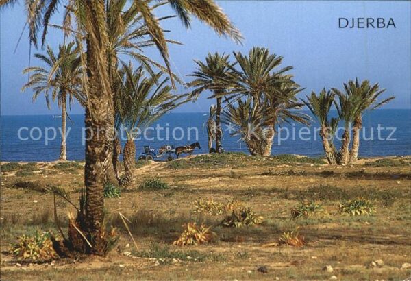 Djerba Kutsche