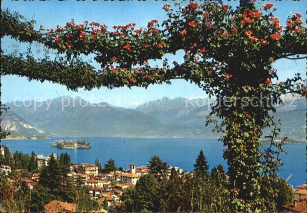 Lago Maggiore Panorama