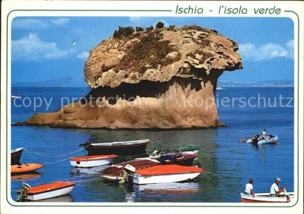 Lacco Ameno Isola Ischia Fungo