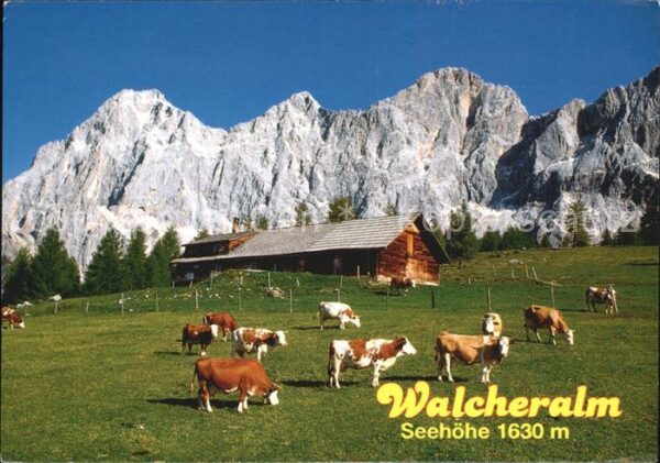 Ramsau Dachstein Steiermark Pension Walcherhof