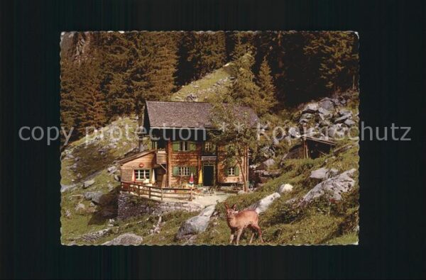 Zillertal Tirol Grüne Wand Stilluppgrund