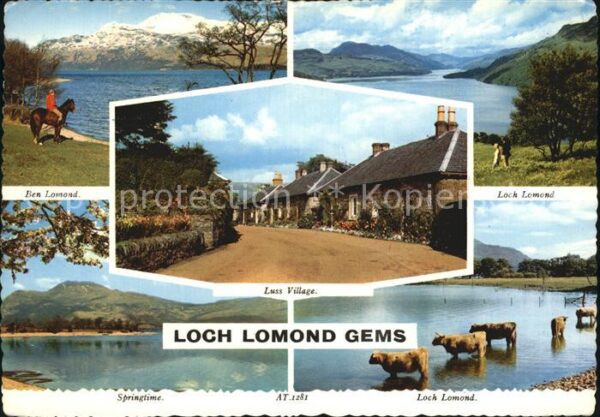 Loch Lomond Scotland Ben Lomond Loch Lomond Springtime  Luss