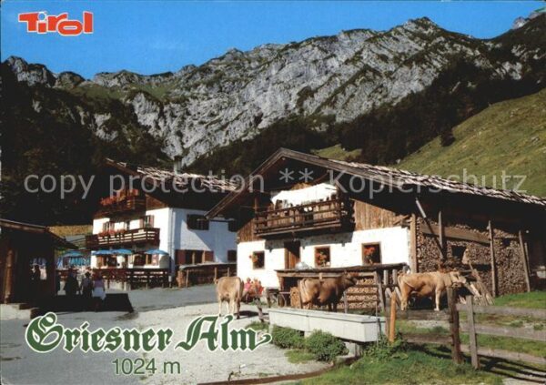 Wilder Kaiser Griesner Alm