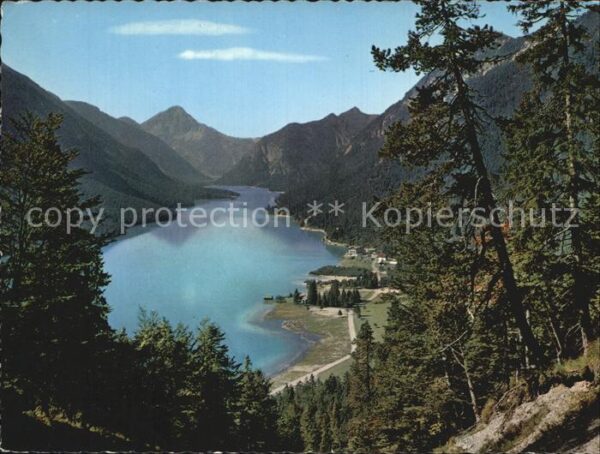 Plansee Tahnelter