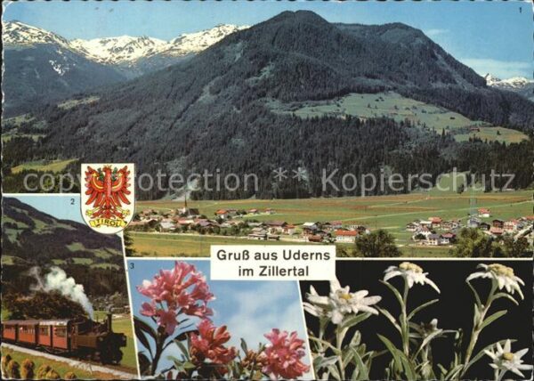 Uderns Gesamtansicht Zillertalbahn Alpenrosen