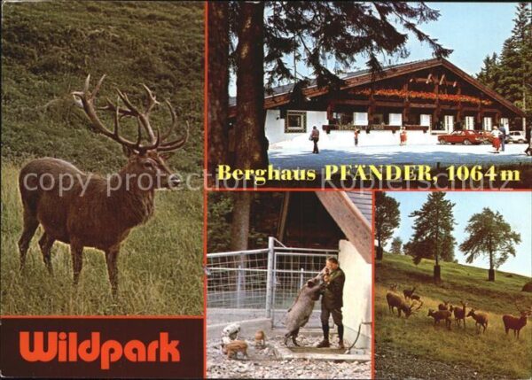Bregenz Vorarlberg Wildpark Berghaus Pfänder