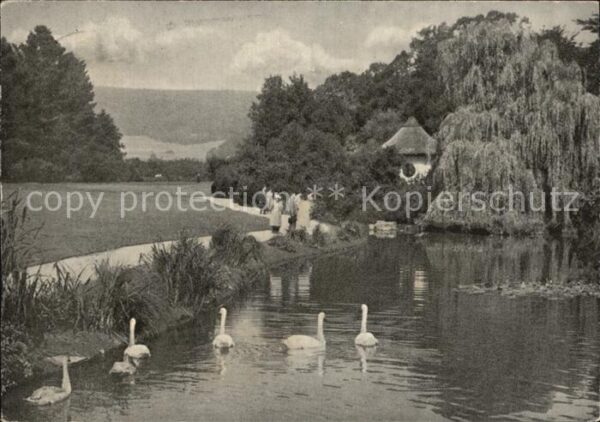 Bad Pyrmont Schwanenteich