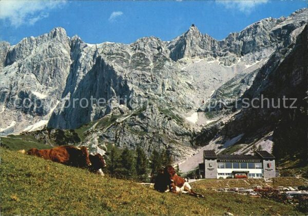 Ramsau Dachstein Steiermark Dachstein-Südwandbahn