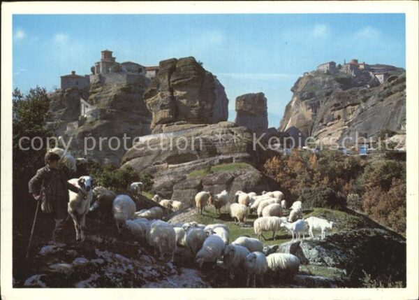 Meteora Schafsherde