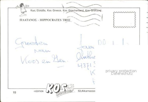 Kos Cos Hippocrates tree – Bild 2