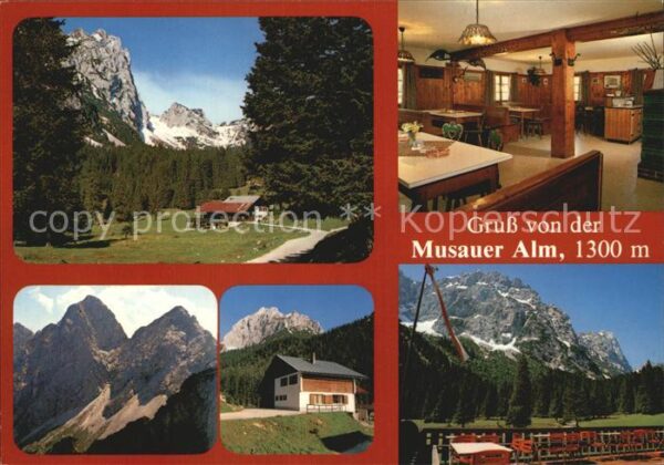 Reutte Tirol Musauer Alm Berggaststätte Alpenblick